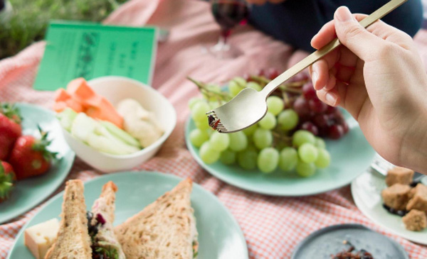 食虫餐具问世 吃虫子或有助解决食物短缺难题(组图)