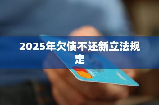 2025年欠债不还新立法规定