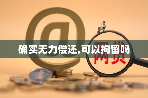 确实无力偿还,可以拘留吗