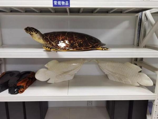 涉案百万!警方最新破获!