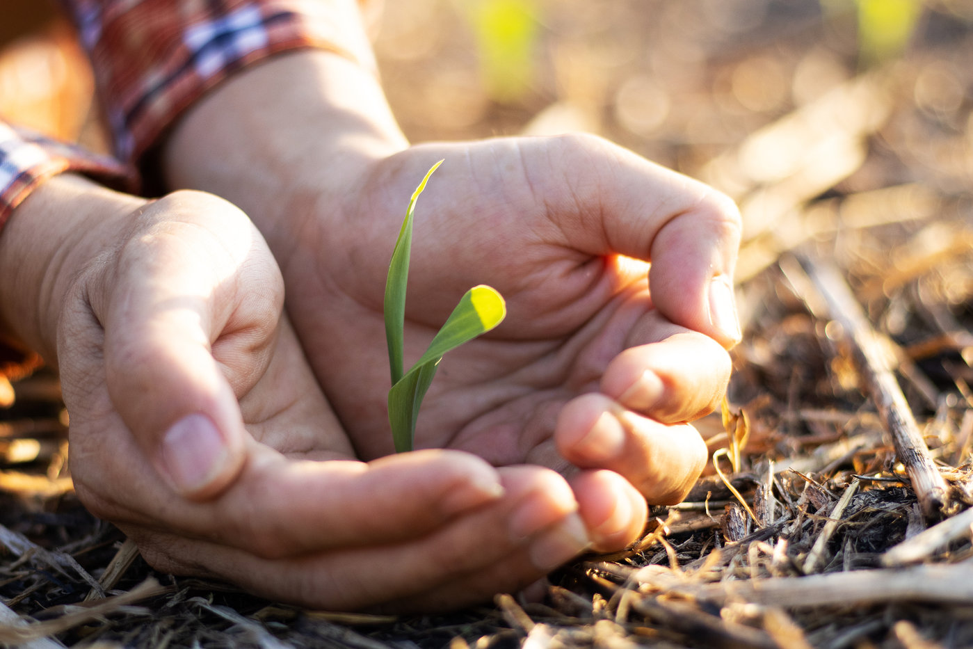 图片来源@视觉中国
