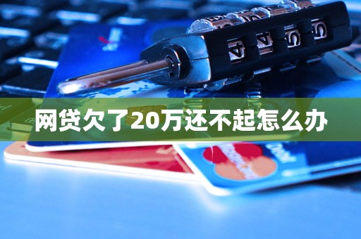 网贷欠了20万还不起怎么办