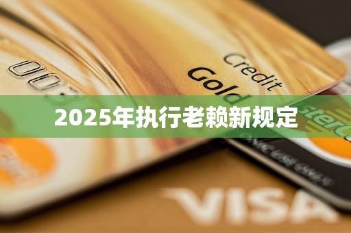 2025年执行老赖新规定