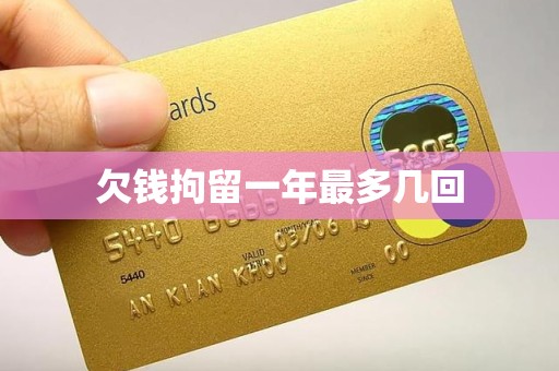 欠钱拘留一年最多几回