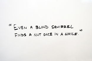 加白是什么意思?为什么这个词在网上越来越常见?