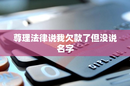 尊理法律说我欠款了但没说名字