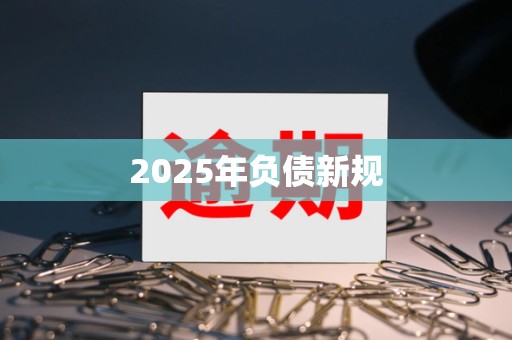 2025年负债新规