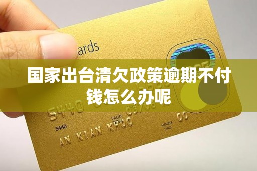 国家出台清欠政策逾期不付钱怎么办呢