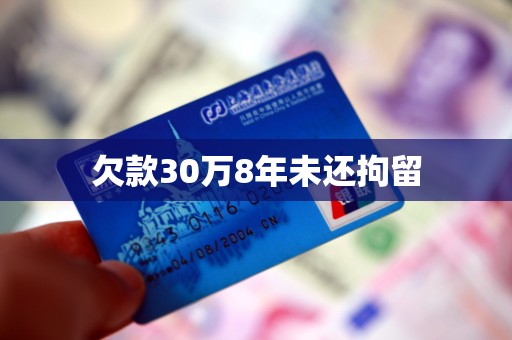 欠款30万8年未还拘留