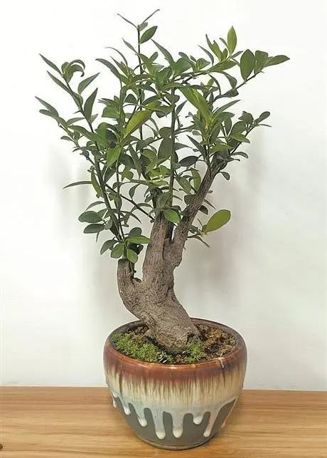 紧急提醒：这个东西不能买卖！男子因此被判刑