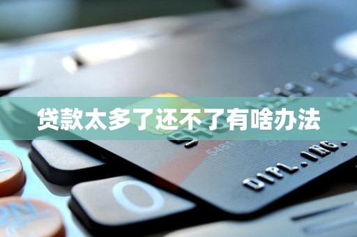 贷款太多了还不了有啥办法