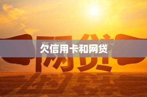 欠信用卡和网贷