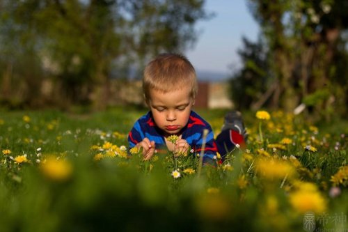 拉丁文男名大全及含义