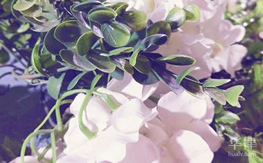 法律对驰名商标的特殊保护措施有哪些