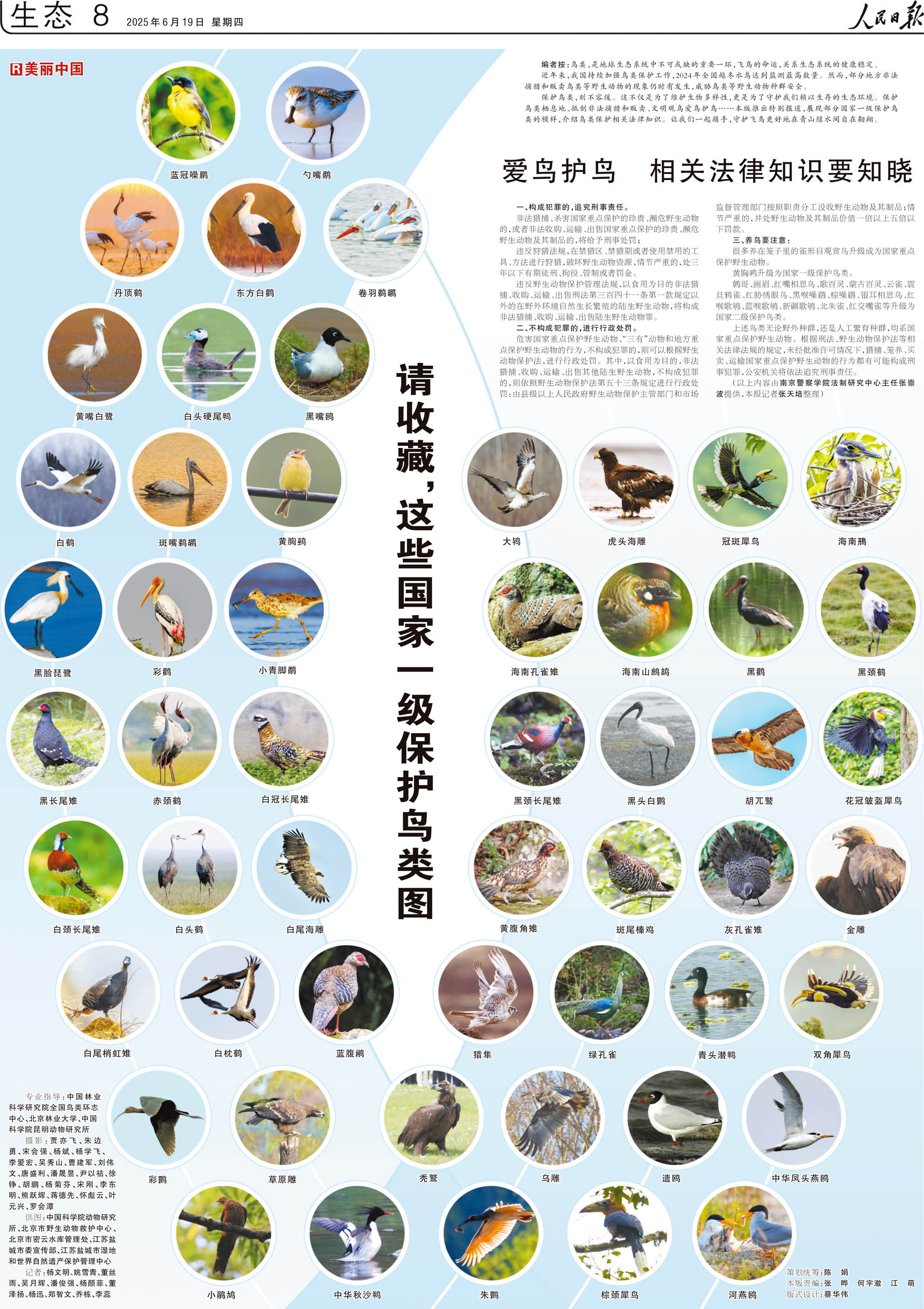 国家一级保护鸟类图集