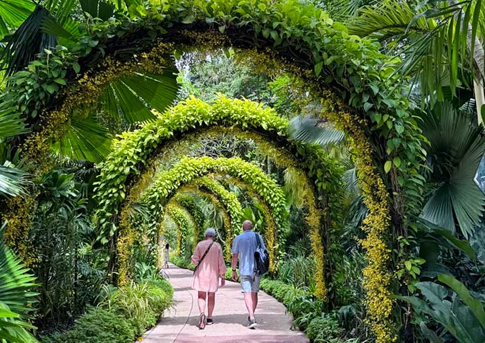 新加坡植物园徒步