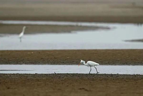 明天起，这些新规将影响你我生活