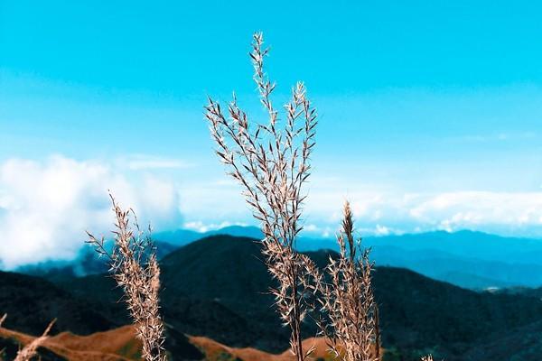 新农合医保网上缴费怎么交？可以查询缴费记录吗？