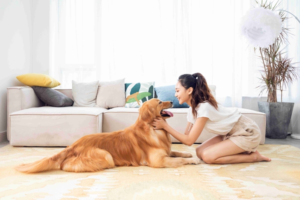 法律科普 | 购买宠物出纠纷，消费者应该如何维权