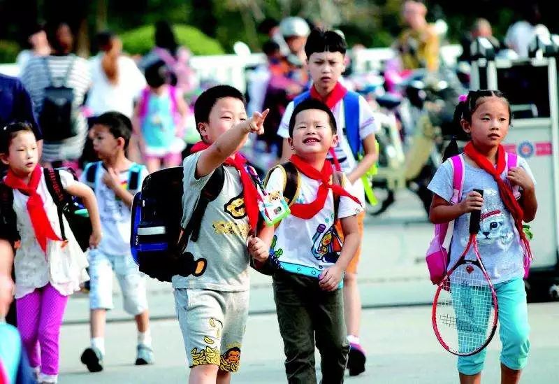 你好!代表(视频)