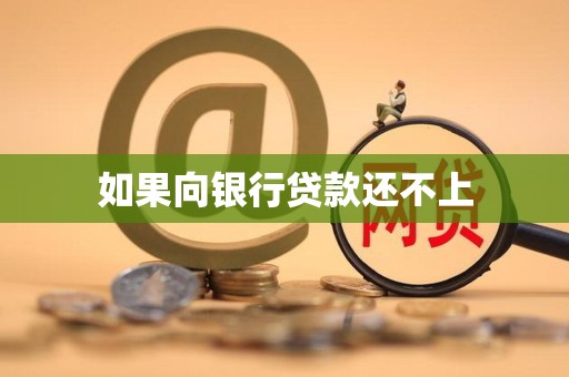 如果向银行贷款还不上