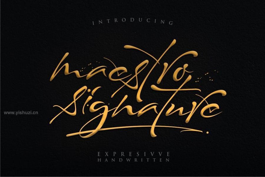 ysz-201139 Maestro-Signaturez2.jpg