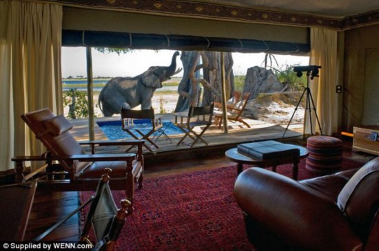 ����˾�ݻ������֮��