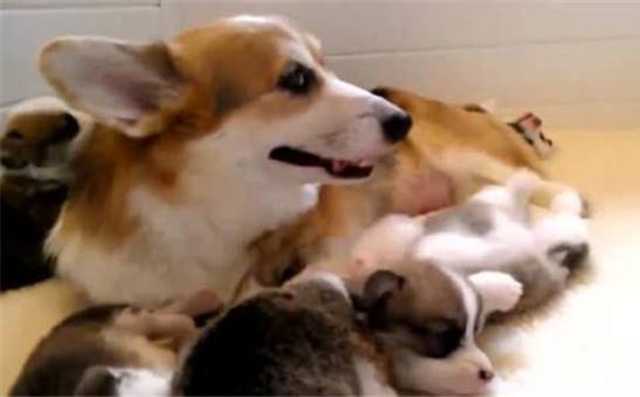 40个适合穷人小本生意赚钱门路的成功案例推荐