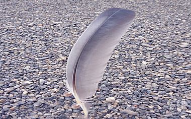 减刑的适用对象是谁