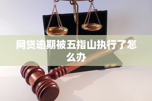 网贷逾期被五指山执行了怎么办