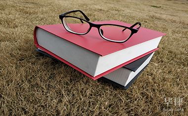 小区流浪狗扰民怎么办