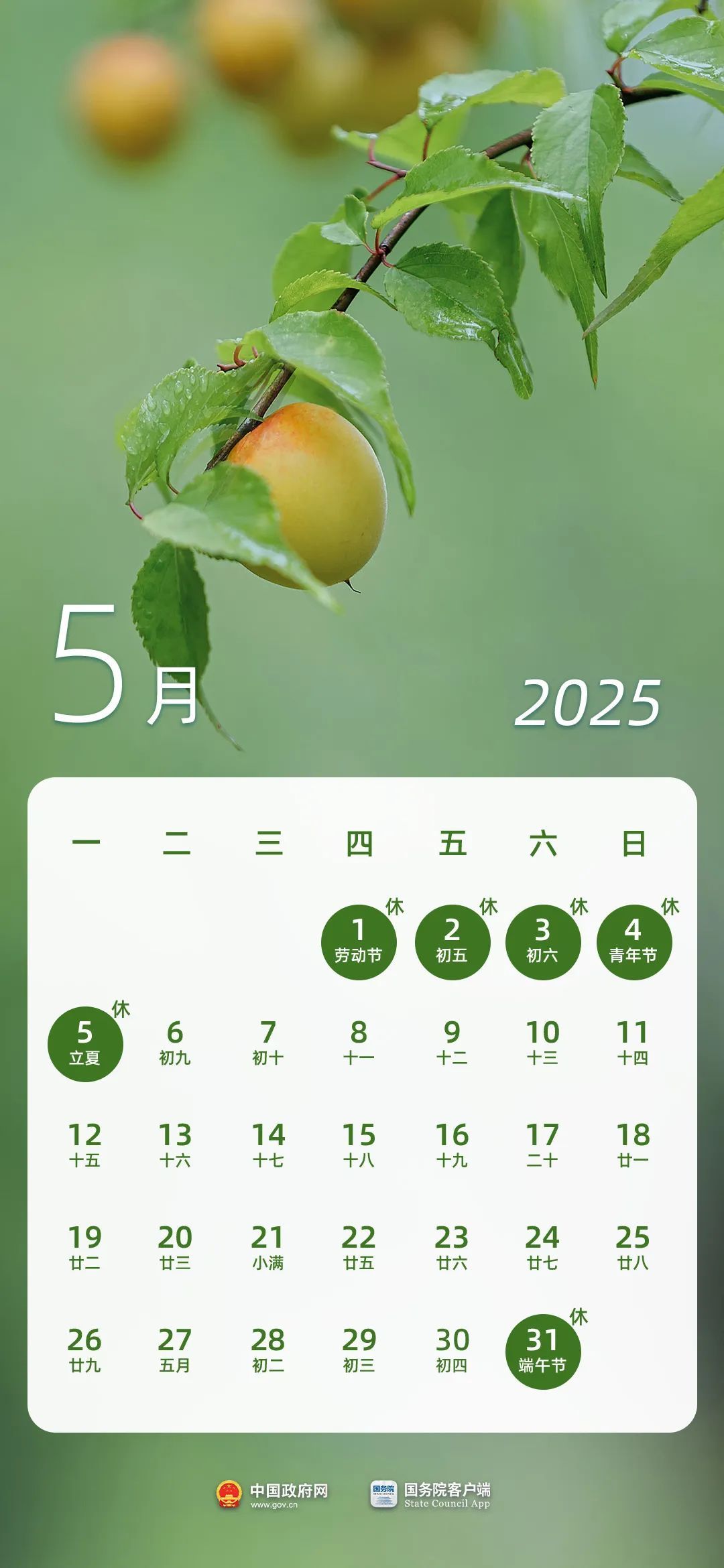 2025年放假安排出炉!春节8天,劳动节5天,国庆节+中秋节8天