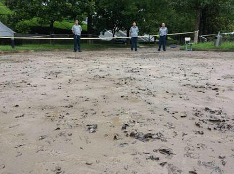 学生假期留校身亡 从图书馆返回宿舍趟过积水意外去世