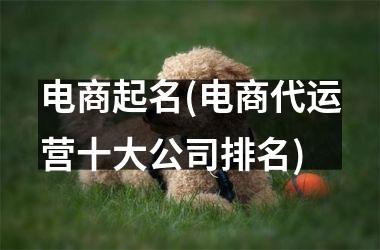 h3/p电商起名(电商代运营十大公司排名)