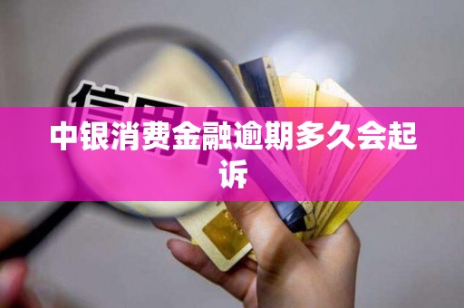中银消费金融逾期多久会起诉