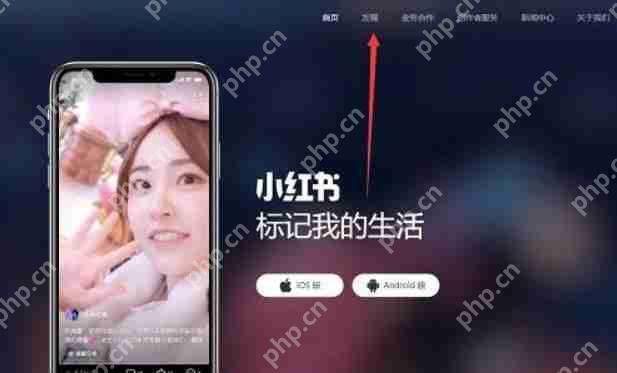 小红书网页版入口 小红书网页版网址链接 - php中文网