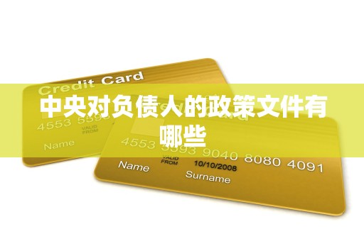 中央对负债人的政策文件有哪些