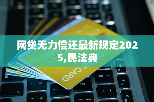 网贷无力偿还最新规定2025,民法典