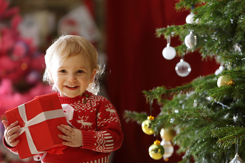 蹒跚学步的小女孩抱着圣诞树图片下载