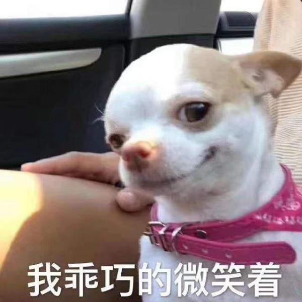 听说亲戚是这样解释你的专业的