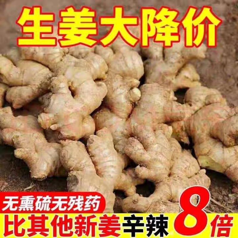 淘宝商家版登录入口在哪里？新手卖家必看！