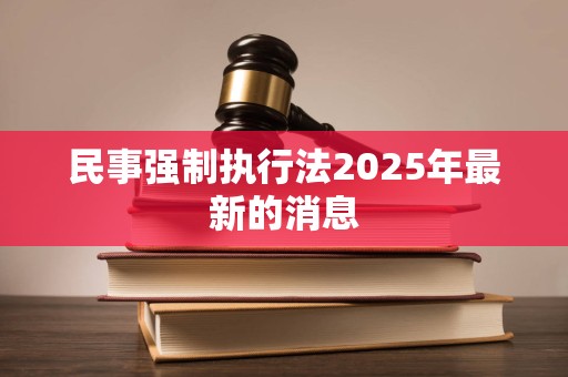 民事强制执行法2025年最新的消息