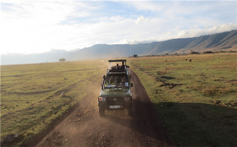 旅游过程中会涉及哪些法律法规