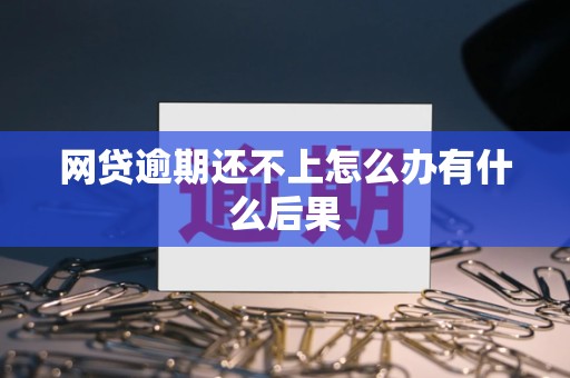 网贷逾期还不上怎么办有什么后果