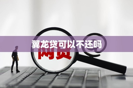 翼龙贷可以不还吗