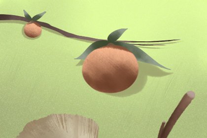 身份证号和姓名实名认证