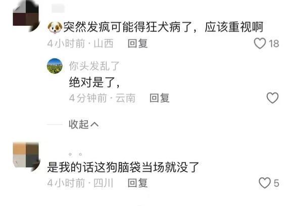 老人被养了四五年的狗撕咬 宠物驯养与责任引热议