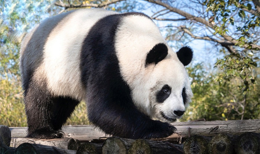 宁波野生动物园