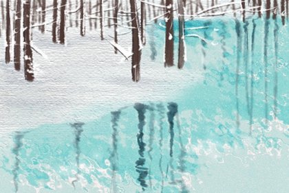 有象征意义的志愿者队名