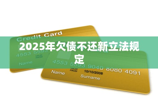 2025年欠债不还新立法规定